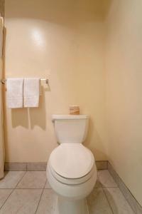 Royal Plaza Inn - 60