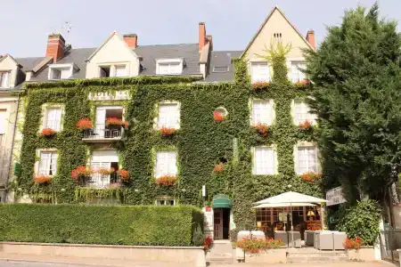Anne De Bretagne Blois - 0
