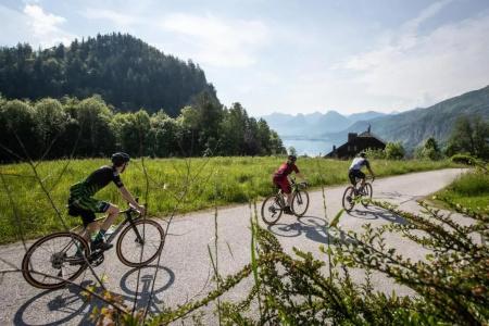 Rennrad- & TriathlonJakob - 22
