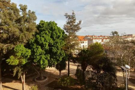 Macia Doñana - 66