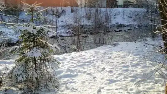 Закрут - 35
