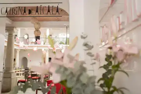 La Catrina de Alcala - 17
