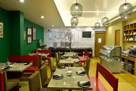 Pipal Tree - 25
