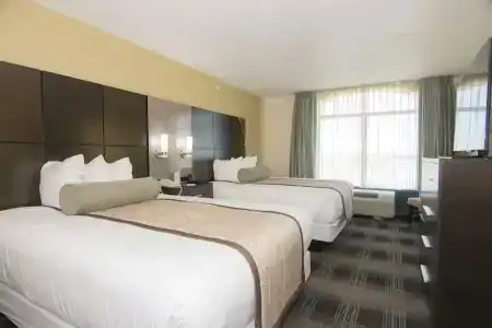 Wingate by Wyndham - Orlando International Airport - 49