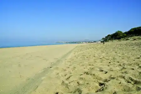 B&B Albachiara - 16