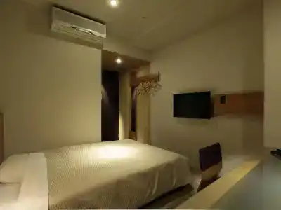 Candeos Chino - 3