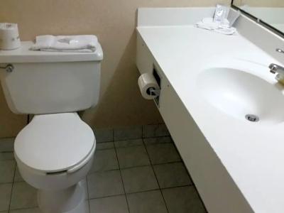 University and Suites - 17