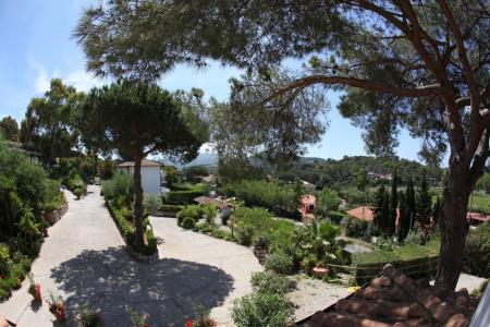 Villa Giulia - 28