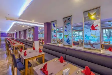 Sandy Beach - All Inclusive - 17