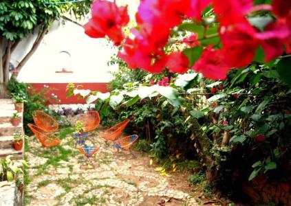 Oaxaca Deleite - 12