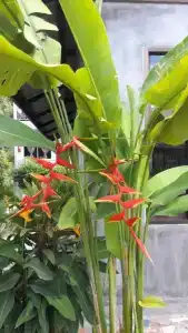 Maehaad Garden Inn - 34