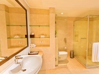 The Lalit Jaipur - 32