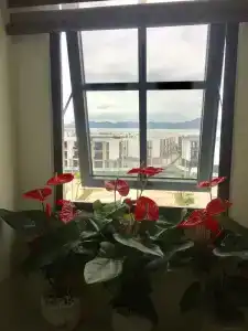 May House - 7