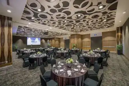 Hilton - 19