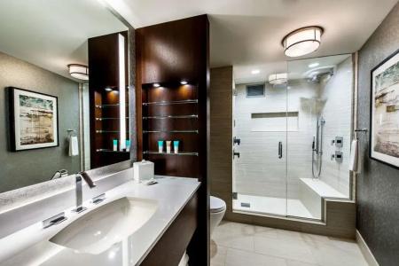 Hyatt Regency McCormick Place - 7