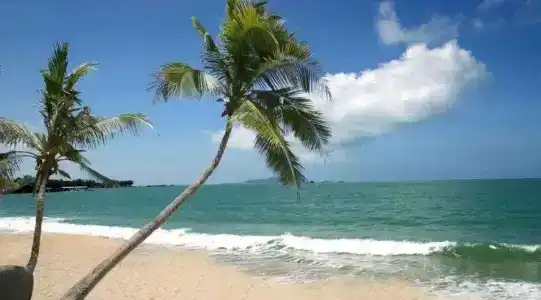 Hawaii - 11