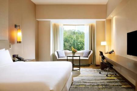 Hilton - 50