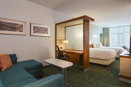 SpringHill Suites by Marriott Nashville Vanderbilt/West End - 42