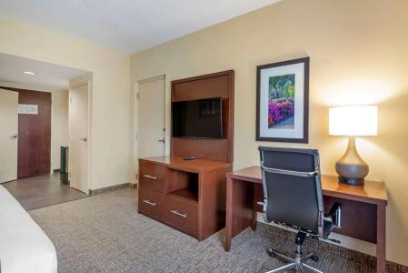 Comfort Suites North - 69
