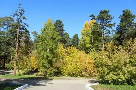 Ангара Курорт - 10