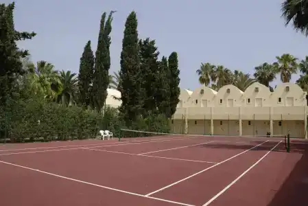 Paradis Palace - 17