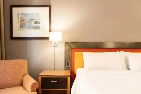 Holiday Inn Express Puerto Madero, An Ihg - 58