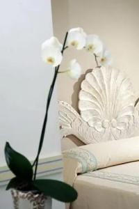 Boutique Casa Mariantonia - 40