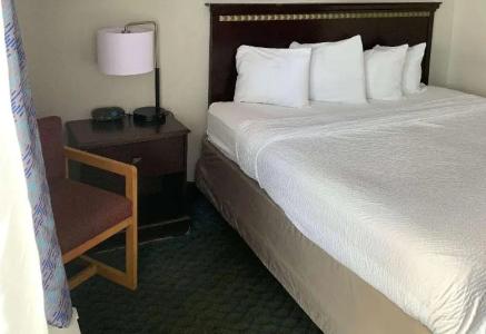 Days Inn by Wyndham Airport Fair and Expo Center - 15