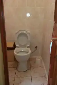 Лиана - 8