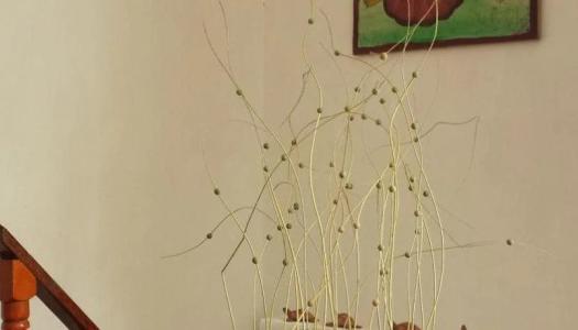 Hilda Guest House - 12
