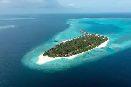 Avani+ Fares Maldives Resort - 43