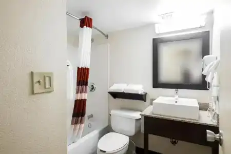Red Roof Inn Plus+ San Antonio Downtown - Riverwalk - 35