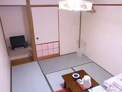 Fukui Castle - 26