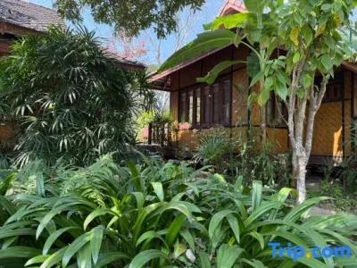 Baan Krating - Sha Plus - 39