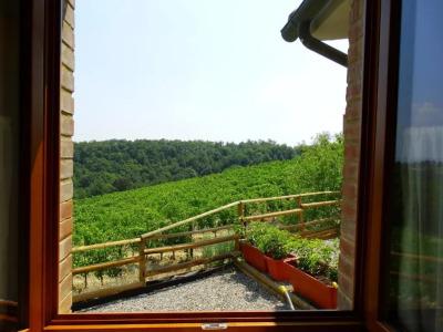 Agriturismo Montegonfoli - 43