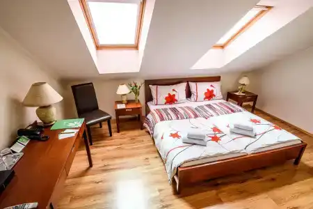 Eco Friendly Dália - 1