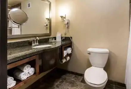 Holiday Inn & Suites Downtown, an IHG - 58