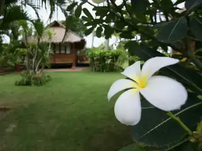 Suan Bankrut Beach - 9