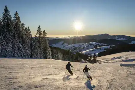 coucou & kuckucks-stube (Titisee) - 27