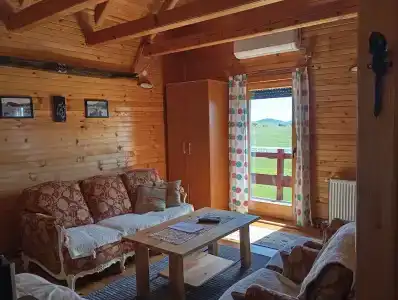 Boskovica Brvnare - 1