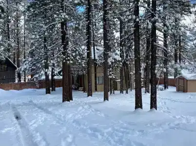 Rincon Cabin - 16