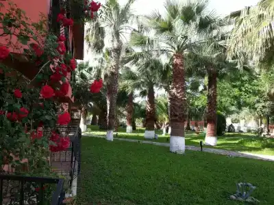 Palme Dalyan - 11