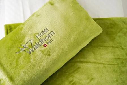 Waldhorn - 26