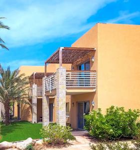 Ein Gedi Kibbutz - 82