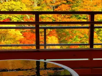 Shiobara Onsen Ryokan Kamiaizuya - 27
