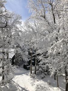 The Guest House Japan Hakuba - 35