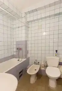 Питиус - 18