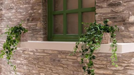 Casa Di Fiori Andros Suites - 118