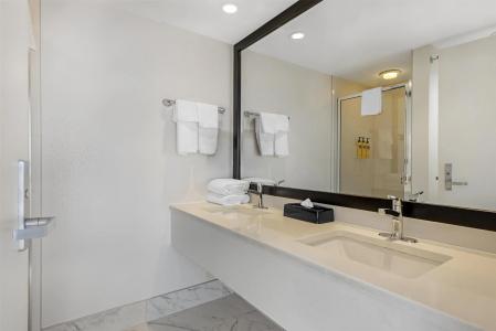 Best Western Plus Suites Downtown - 8
