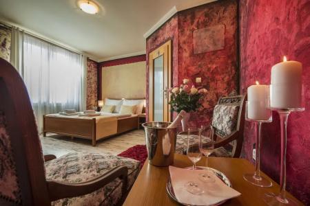 Pension Vila Mery - 45